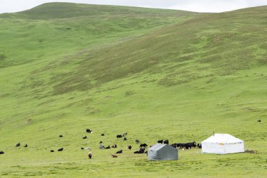 Litang, Çin - 18 Temmuz 2014: Meralar, Litang kasaba. Tibet Campania'daki Litang, Sichuan, Çin.