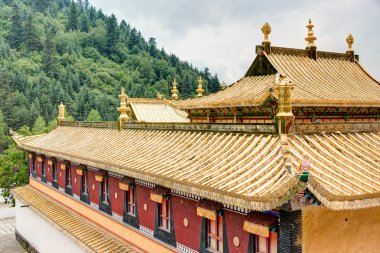 Huzhu, Çin - 7 Temmuz 2014: Gonlung Champa Ling(Youningsi). ünlü bir manastır Huzhu, Qinghai, Çin.