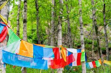 Huzhu, Çin - 7 Temmuz 2014: Dua bayrağı Gonlung Champa Ling(Youningsi) de. ünlü bir manastır Huzhu, Qinghai, Çin.