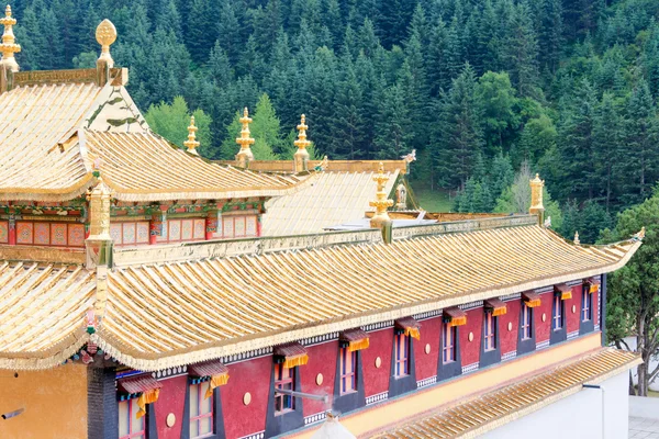 HUZHU, CHINA - 7 de julio de 2014: Gonlung Champa Ling (Youningsi). un monasterio famoso en Huzhu, Qinghai, China . —  Fotos de Stock