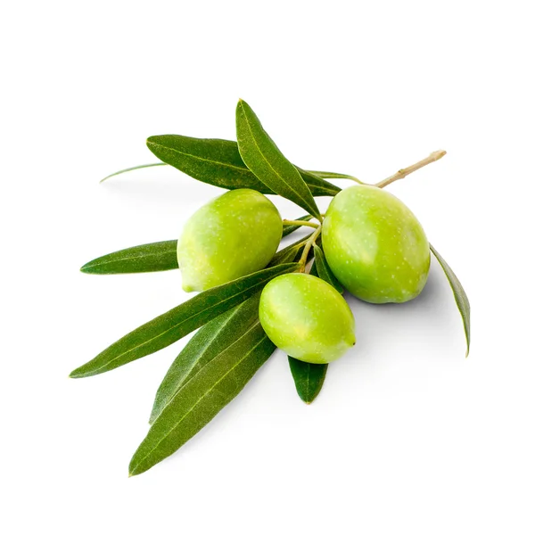 Üç yeşil Konfit zeytin dalı