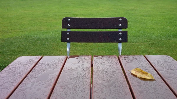 Lege tafel en stoel in de tuin bij regen — Stockfoto