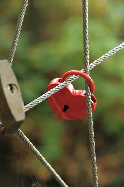 Red Lock en forma de corazón en puente de cuerda — Foto de Stock