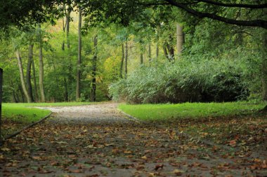 Avrupa'nın kalbinde Ekim ayında Sonbahar Park