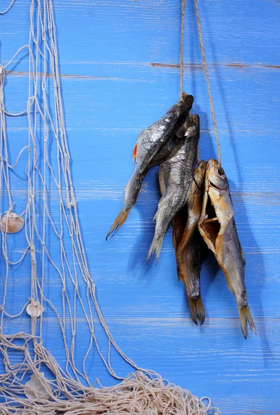 Dried rudd fish and fishing net on blue background — Stock Photo, Image