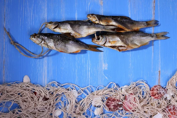 Dried rudd fish and fishing net on blue background — Stock Photo, Image