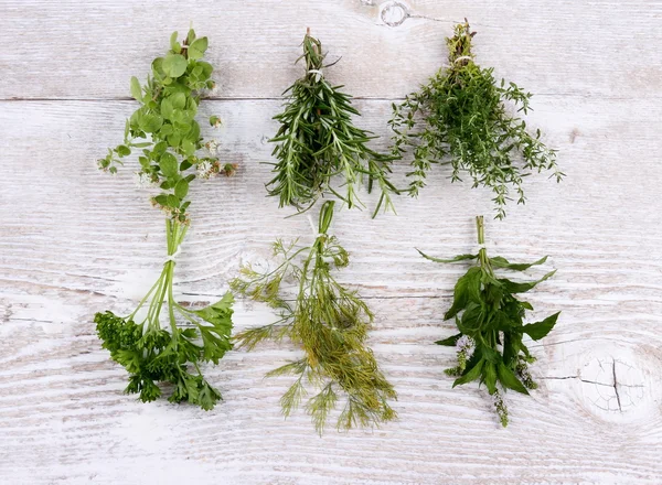 Italian herbs in bundle on white wooden — Stock Photo, Image