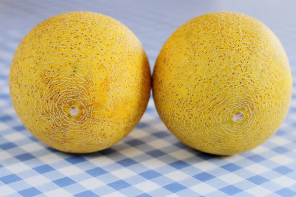 Deux Galia melon sur table à carreaux blanc-bleu — Photo