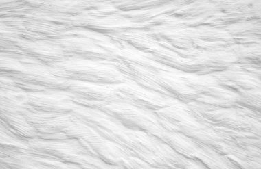 Beyaz duvar sıva soyut