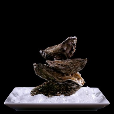 Four oyster shell on ice as balance stack clipart