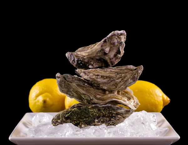 Four oyster shell on ice with lemon as balance stack — Stock Photo, Image