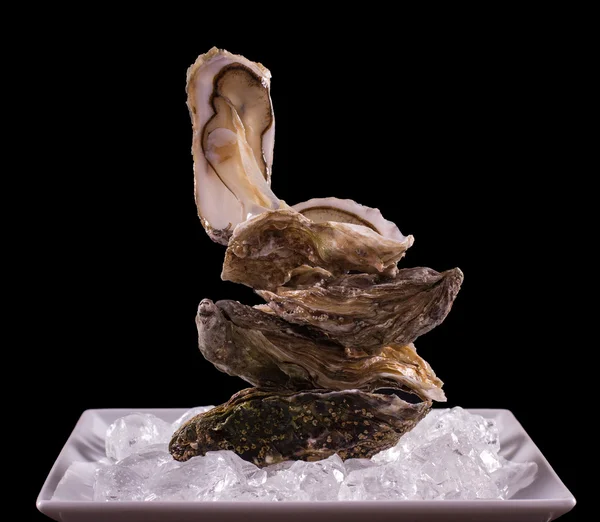 Four oyster shell on ice as balance stack — Stock Photo, Image