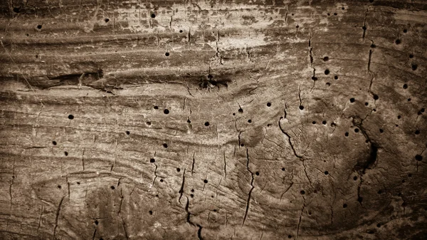 Old dirty wooden board with holes — Stockfoto