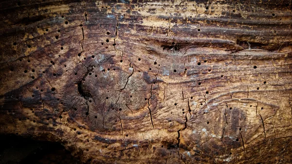 Placa de madeira velha com furos — Fotografia de Stock