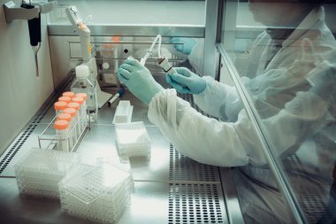 Yetişkin laboratuvar teknisyeni multiwell pipet ile çalışma