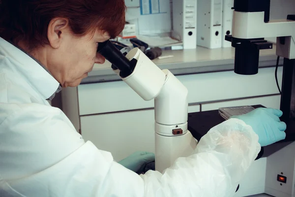 Tecnico di laboratorio per adulti al microscopio — Foto Stock