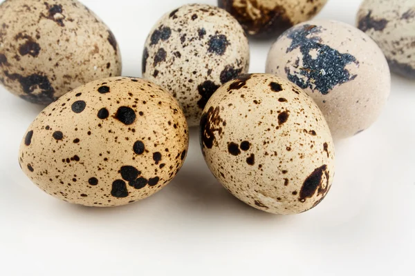 Five quail eggs on white background — Stock Photo, Image