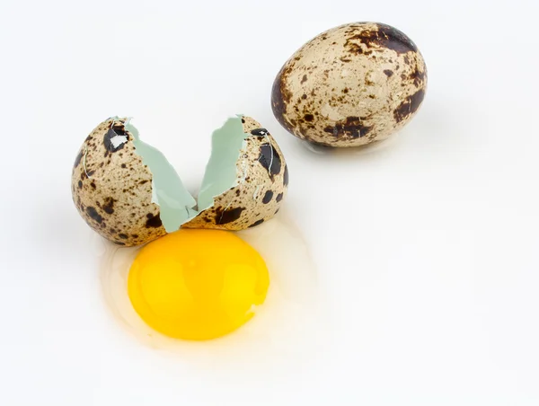 Two broken quail eggs on white background — Stock Photo, Image