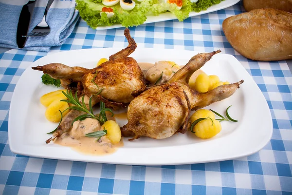 Two fried quail with gnocchi, gravy and rosemary — Stock Photo, Image