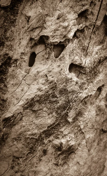 Placa de madeira velha com furos, close up — Fotografia de Stock