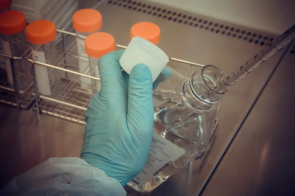 Laborant bierze próbki z rurki do badania — Zdjęcie stockowe