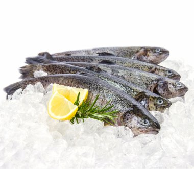 buz üzerinde limon ile beş taze alabalık