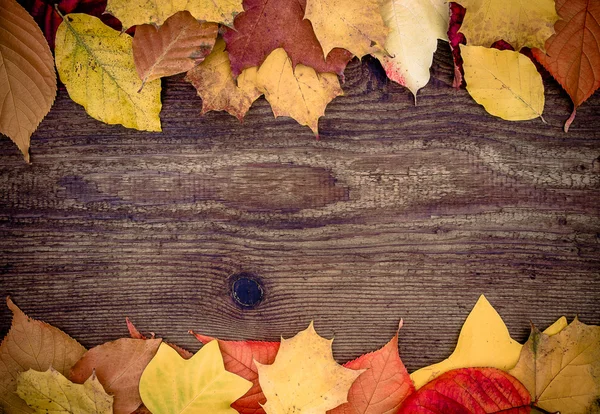 Old wooden board with autumn leaves — Stock Photo, Image