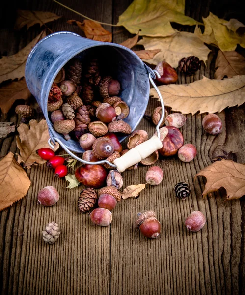 Scattered rosehips, acorns from bucket — Stock Photo, Image