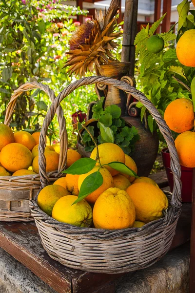 Cesta completa con naranjas maduras —  Fotos de Stock