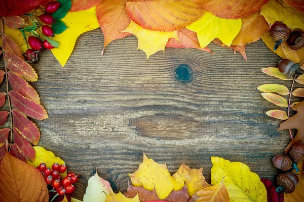 Placa de madeira velha com folhas de outono — Fotografia de Stock