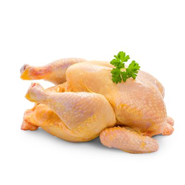 Corn-fed chicken on white background clipart
