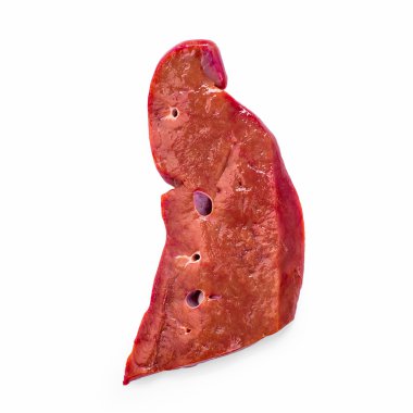 Taze çiğ Dana karaciğer üzerinde beyaz izole