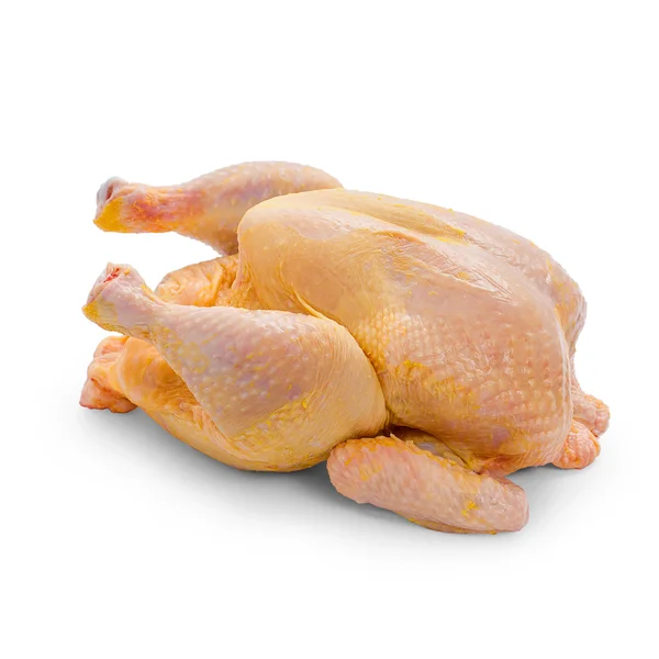 Pollo nutrito con mais su sfondo bianco — Foto Stock