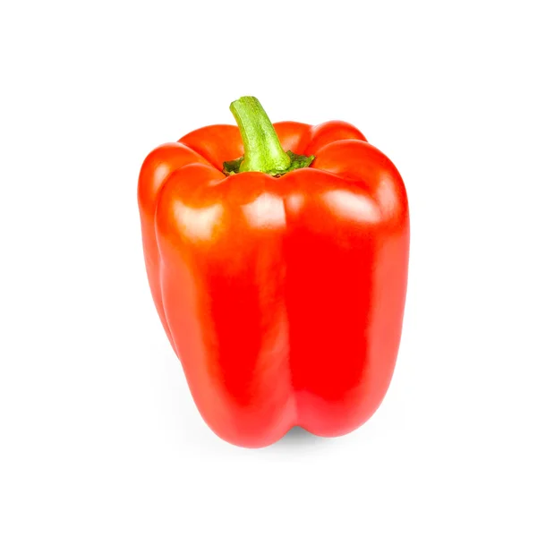 Röd paprika stående, isolerade — Stockfoto