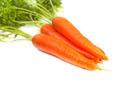 havuç yaprakları ile 