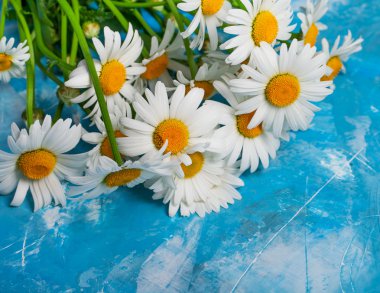 Papatya çiçeği ile yaz çiçek kartı