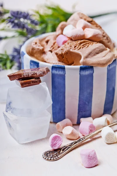 自制香草和巧克力冰淇淋与棉花糖 — 图库照片