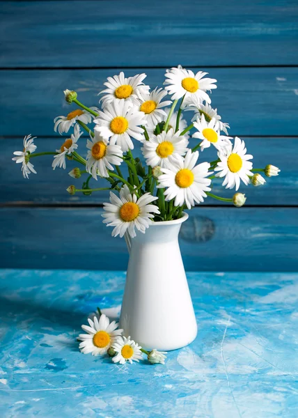 Tarjeta floral de verano con flores de manzanilla — Foto de Stock