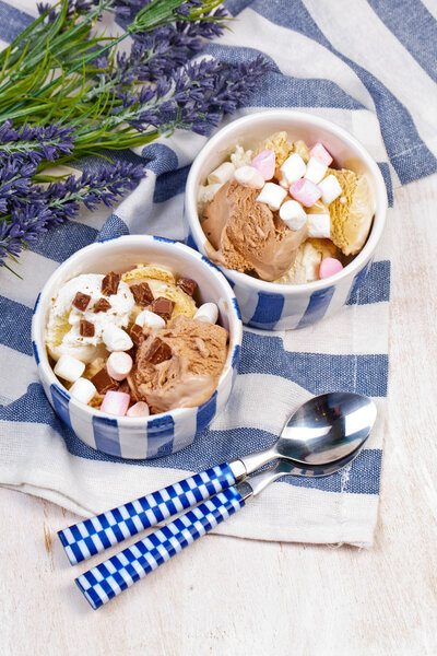 Homemade vanilla and chocolate ice cream with marshmallow