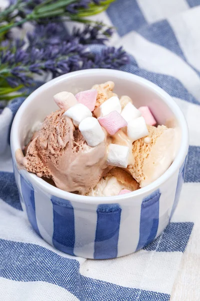 自制香草和巧克力冰淇淋与棉花糖 — 图库照片