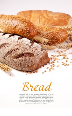 ekmek farklı türleri