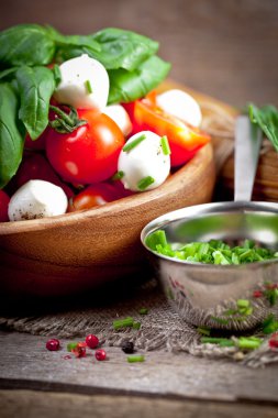 Mozzarella peyniri, domates ile