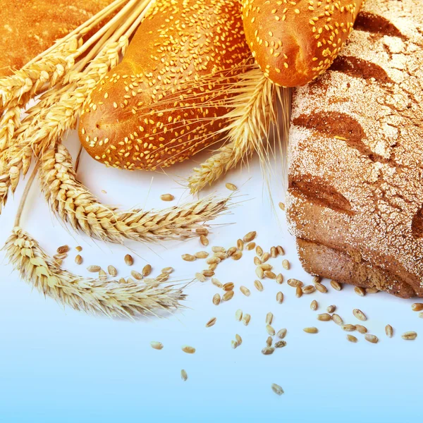 Different types of bread — Stock Photo, Image