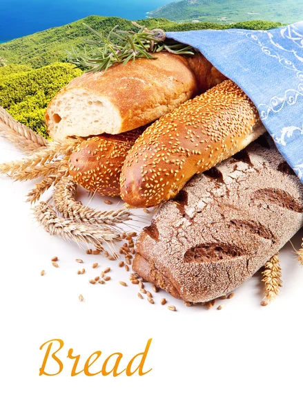 Different types of bread — Stock Photo, Image