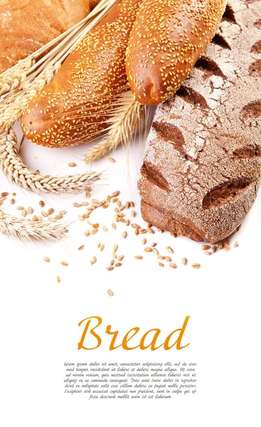 Different types of bread — Stock Photo, Image