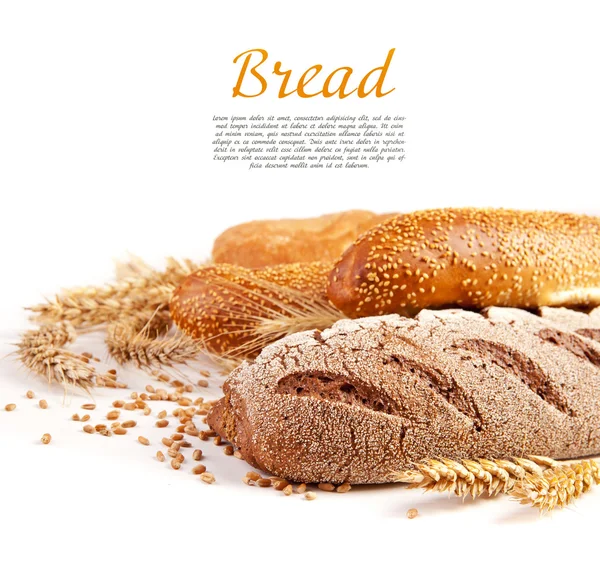 Different types of bread — Stock Photo, Image