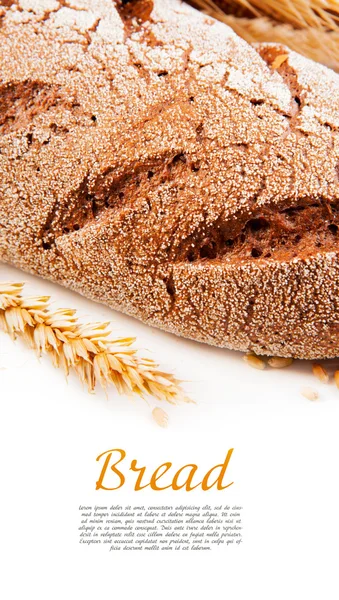 Verschiedene Brotsorten — Stockfoto