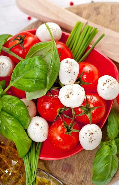 Mozzarella cheese with cherry tomatoes — Stock Photo, Image