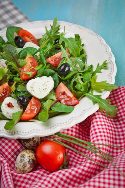 Caprese Insalata con pomodori — Foto Stock