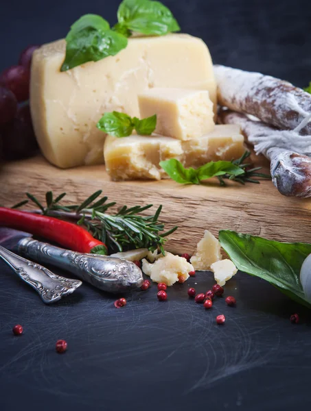 Various cheeses and salami — Stock Photo, Image